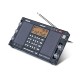 Tecsun H-501