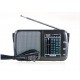 Tecsun R-404P