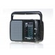 Tecsun R-404P