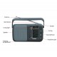Tecsun R-404P