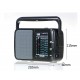 Tecsun R-404P